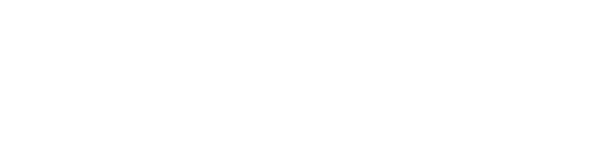 DayTraining Revelação